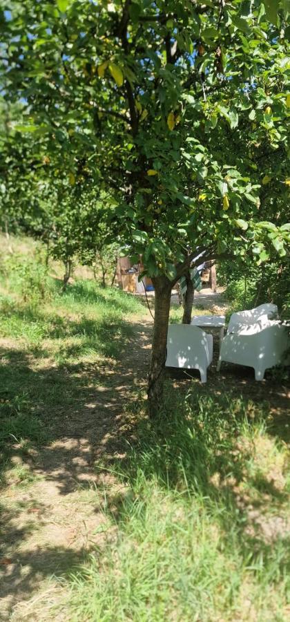 Casageo Cheile Nerei Villa Sokolar Dış mekan fotoğraf