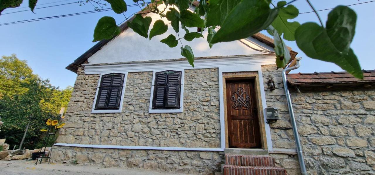 Casageo Cheile Nerei Villa Sokolar Dış mekan fotoğraf