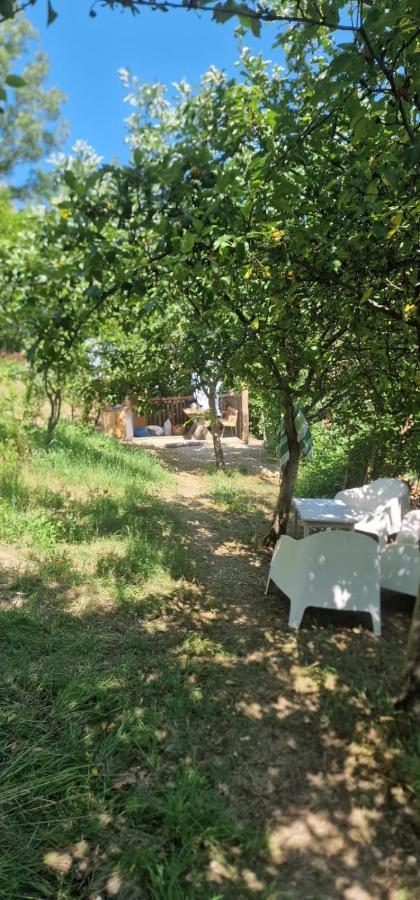 Casageo Cheile Nerei Villa Sokolar Dış mekan fotoğraf