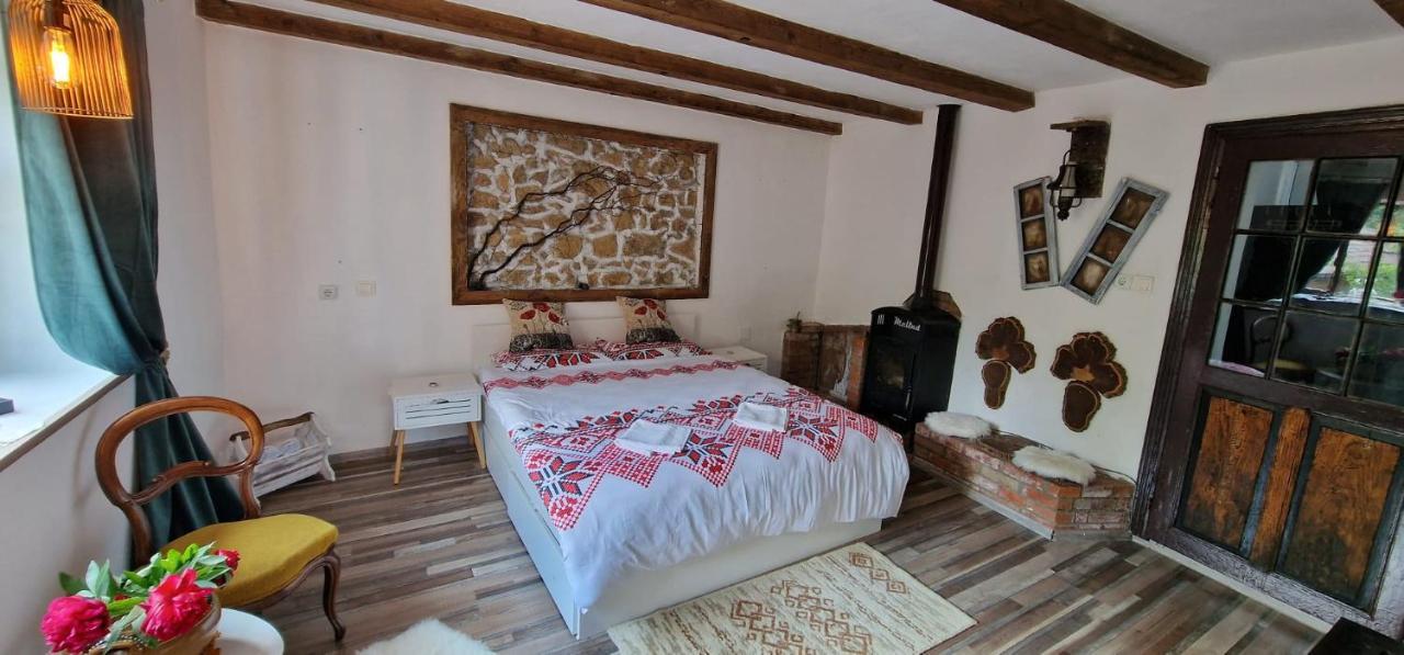 Casageo Cheile Nerei Villa Sokolar Dış mekan fotoğraf